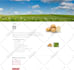 copy, clone, or design any web page using elementor pro