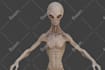 design quality male or female 2d vtuber model 3d vtuber rigging live2d vtube
