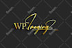 design calligraphy scripted name signature logo