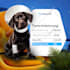 design professional facebook, instagram, ads, and any social media design