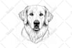 draw unique one line art, minimalist line art, vector line art illustration