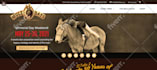provide maintenance for business consultants wp website