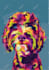 draw a photo of your pet in wpap pop art in less than 1 day