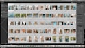 cull, edit, batch process wedding and event photos