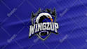 design a custom sports logo and brand identity