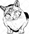 create detailed vector art black and white your pictures