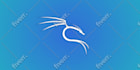 teach you and install kali linux on your system