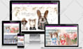 develop, design, fix,customize elementor pro wordpress website,theme,blog,plugin