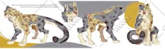 draw furry reference sheet nsfw or sfw