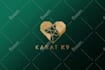 design modern origami or geometric logo with luxury branding
