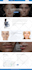 design a professional wordpress website, blog, or business site