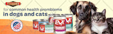 design a professional web banner,header,ads,cover