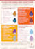 design your infographic in perfect flowchart style