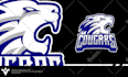 design baseball hockey basketball and any other sports logo