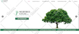 build or design wordpress woocommerce website, ecommerce website development