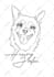 draw custom pet line art portrait for tattoo or print