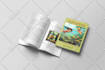 do book formatting, ebook design, book layout, workbook design