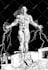 draw a fantastic illustration for you