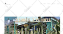 migrate wordpress website, transfer php website, move wordpress