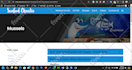 build a responsive wordpress website