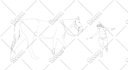do vector trace, vector tracing, convert image to vector