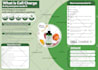 do spectacular infographic design and amazon infographics