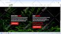 migrate wordpress website, wordpress migration within 1 hour