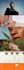 build squarespace website design or squarespace website redesign squarespace