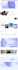 make corporate website, business website, agency website on wordpress