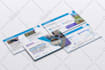 be your professional canva designer for business project