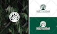 craft a modern, minimalist, and professional logo design