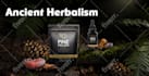 design web banner, website banner ads, product banner, flyer