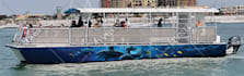 create high level boat wrap design in 24 hours