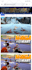 develop a responsive wix website or wordpress site
