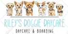 draw cute chibi cartoon portraits of your pet