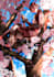 draw anime, game, fanart, oc,  with anime style
