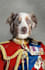 make a custom royal pet portrait gift for your pet
