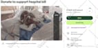 do gofundme kickstarter indiegogo crowdfunding campaign creation promotion