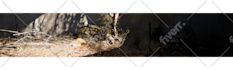 create realistic environments for your unreal engine project