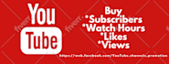 do youtube SEO with organic video promotion