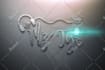 design great or attractive  dj rap epk ,store and text logo