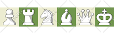 design clean custom icons for your app website or brand