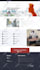 design, redesign, customize, clone responsive wordpress website with divi theme