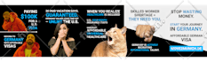 design high performance social media posts