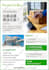 design flyer and poster for your company