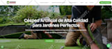 create wordpress website design, redesign wordpress business website development