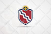create professional logo design for you