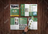 design a premium pitch deck, company profile and brochure