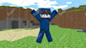 design a professional custom minecraft skin or HD skin