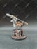 paint your warhammer, sigmar, dungeon, dnd or lotr miniatures